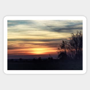 Wild Grasses at Sunset Sticker